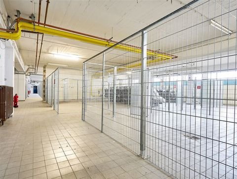 Düsseldorf Halle, Düsseldorf Hallenfläche