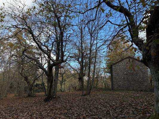 4DBEDB3D-4A9A-4443-8011-9A18442DAF69_1_102_o