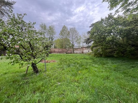 Blick auf Nachbarbebauung Lindenstr.