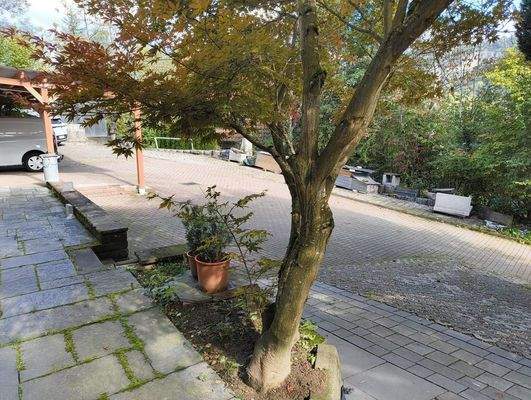 A-Stellplätze Rampe