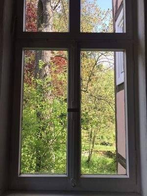 Ausblick in den Garten, 1. OG