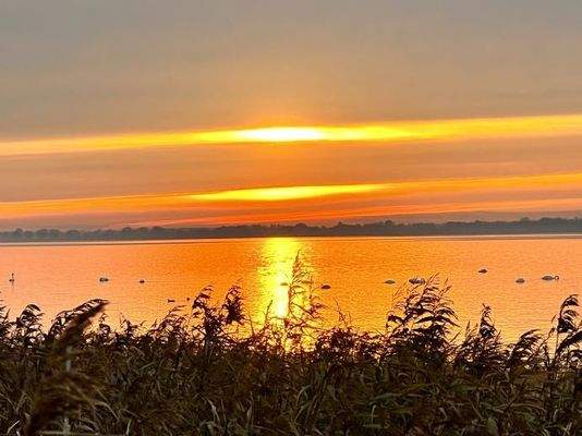 Sonnenuntergang Nisdorf am Bodden