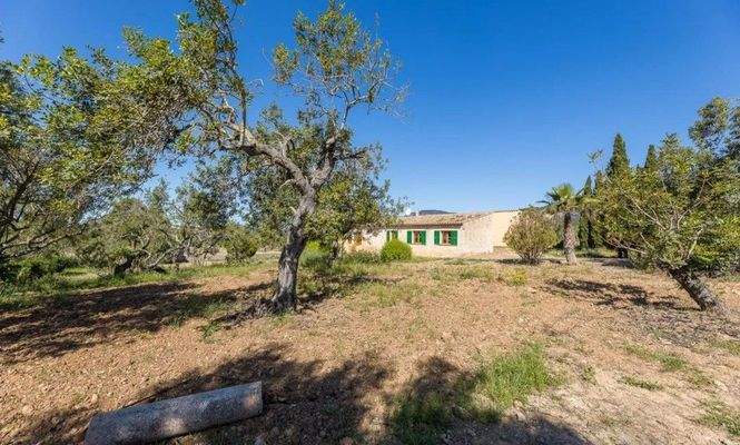 Finca zum Ausbau zwischen Santa Maria und Alaró zu verkaufen, Mallorca