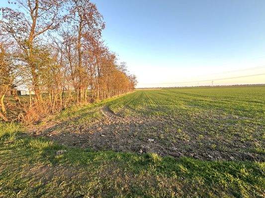 Blick über die Felder