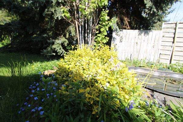 Garten Detail
