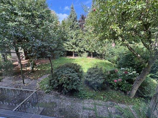 Blick aus dem Küchenfenster