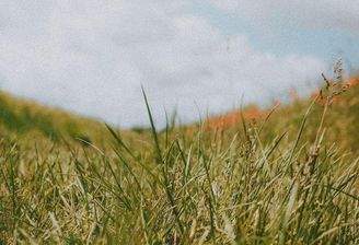 Beispielbild GRD 2.jpg