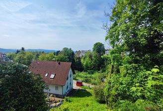 Ausblick