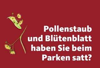 Banner_Pollenstaub_Lindenblueten