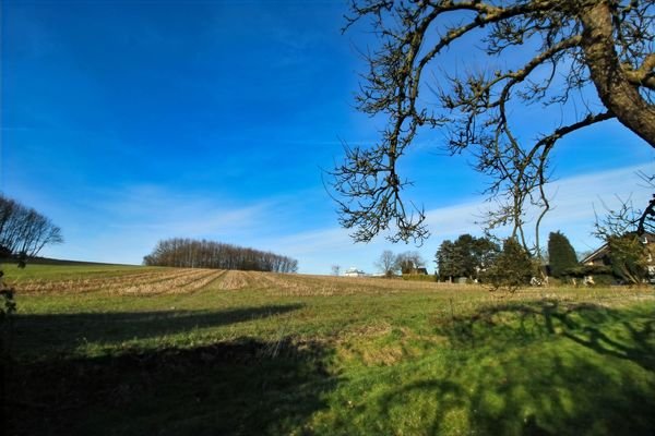 BLICK IN DIE UMGEBUNG, ANGRENZEND