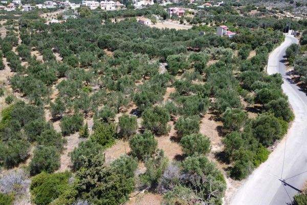 Kreta, Kalathas: Grundstück mit Meerblick in der Nähe des Strandes zu verkaufen
