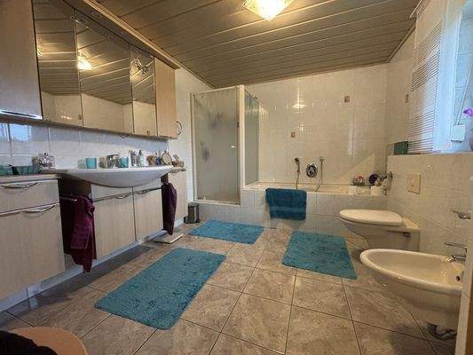 Badezimmer Haus 1996