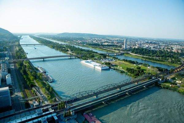 © Renée del Missier