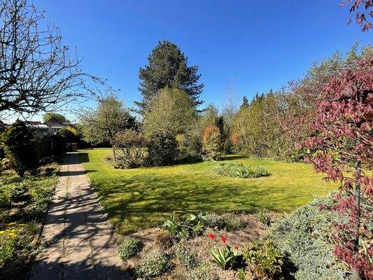 Blick in den Garten (weiteres Baugrundstück)