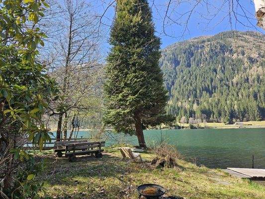 Frühling am Seegrund