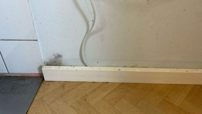 Aufsteigende Feuchtigkeit