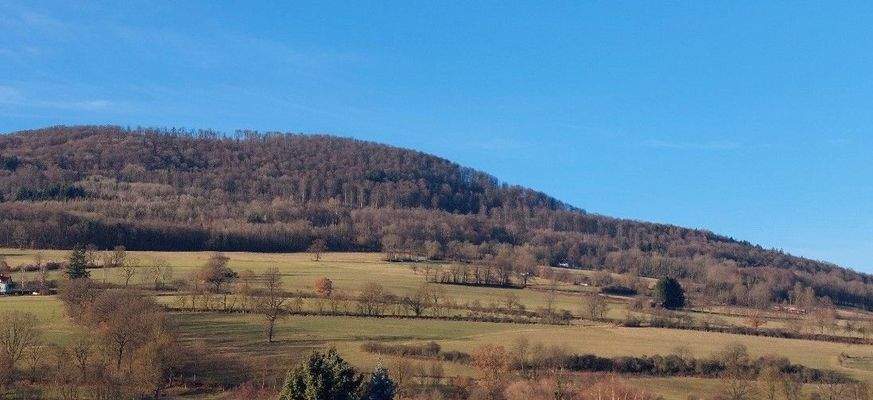 Aussicht in die unmittelbare Umgebung.