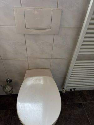 WhatsApp Image 2026-03-09 at 02.28.53 (17).jpeg