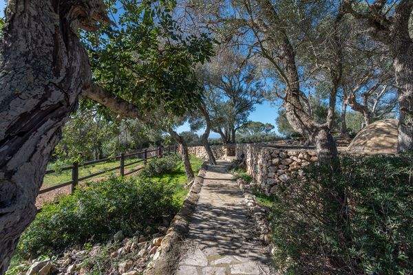 Gartenanlage mit schönem Baumwuchs
