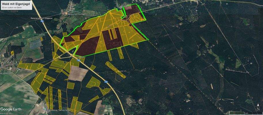 Wald mit Eigenjagd südlich Berlin II.jpg