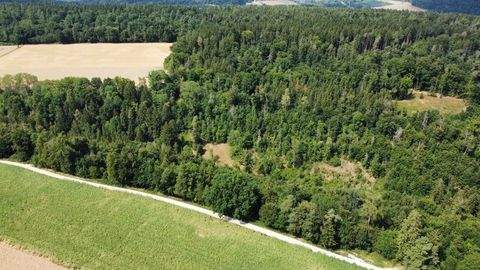 Beilngries / Hirschberg Bauernhöfe, Landwirtschaft, Beilngries / Hirschberg Forstwirtschaft