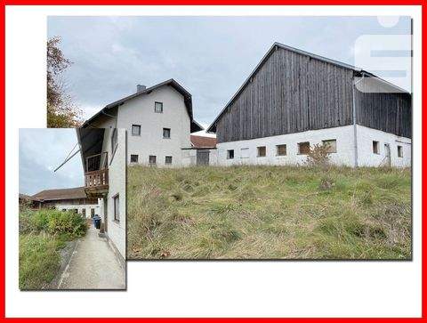 Schönberg Bauernhöfe, Landwirtschaft, Schönberg Forstwirtschaft