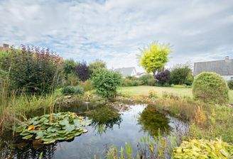 Mittlererteil vom Baurundstück