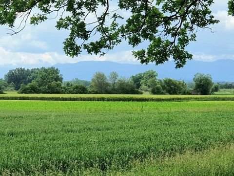 Weilheim in Oberbayern Wohnungen, Weilheim in Oberbayern Wohnung kaufen