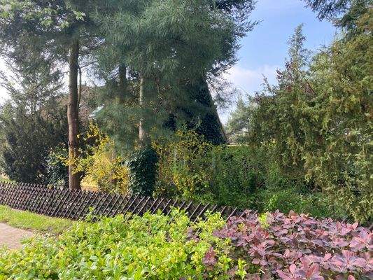 25-04-23 09-44-46 0096.jpg