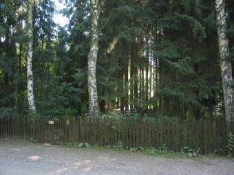 Kleiner Wald inklusive