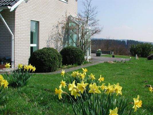 Teilansicht vom Garten