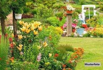 Keine Originalbilder