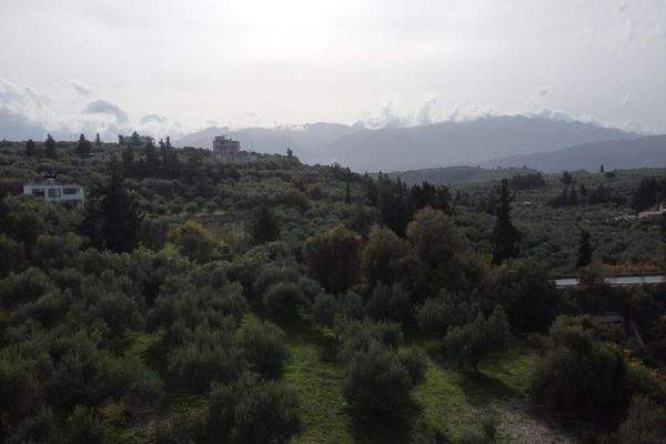 Kreta, Kalyves: Grundstück in Strandnähe mit herrlichem Meerblick zu verkaufen