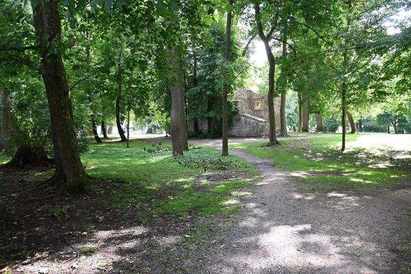 20253006 Teublitz HAUS A 23 (65).JPG