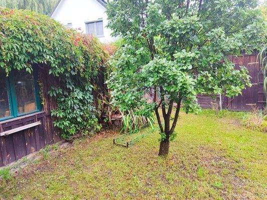 Garten zur Rückseite