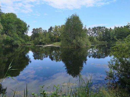 Tonkuhlen Seen 800m entfernt