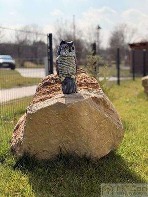 Begrünung vor dem Haus