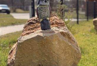 Begrünung vor dem Haus