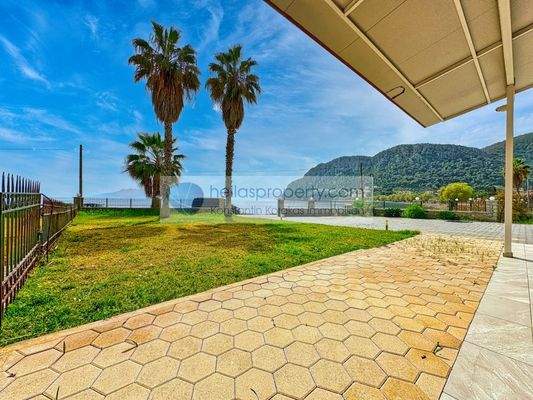 img_0f41dc37-4378-41bf-9d5f-0171eb56b8db