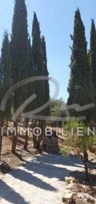 Gartenbereich mit Brunnen