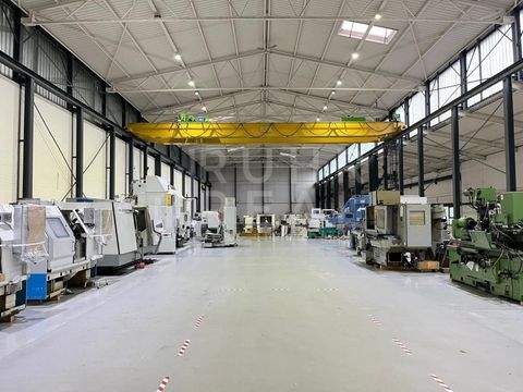 Korschenbroich Halle, Korschenbroich Hallenfläche