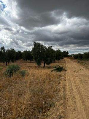 WhatsApp Bild 2025-09-29 um 15.28.35_968e1cce