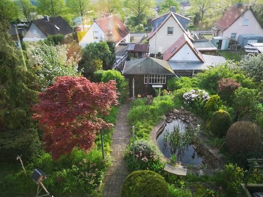 Garten Blick aus dem Haus