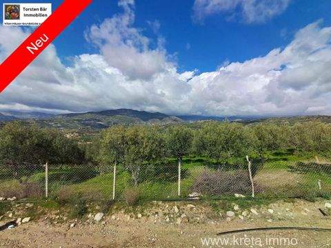 Galia Bauernhöfe, Landwirtschaft, Galia Forstwirtschaft