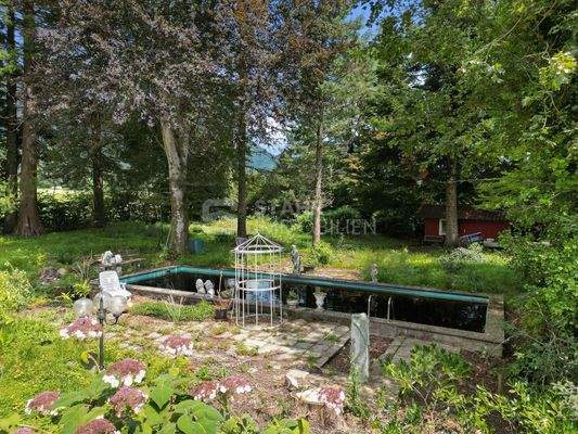 Außenansicht Pool und Garten