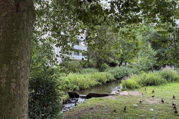 Grün mitten in der Stadt