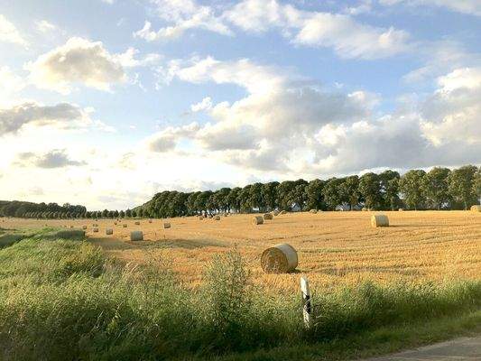 036 Spätsommer Usedom