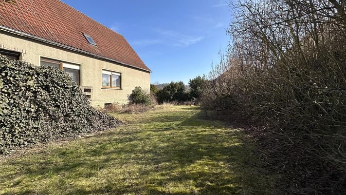 Blick in den Garten
