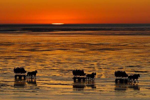 Wattwagen im Sonnenuntergang