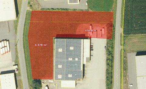 Feilitzsch Halle, Feilitzsch Hallenfläche